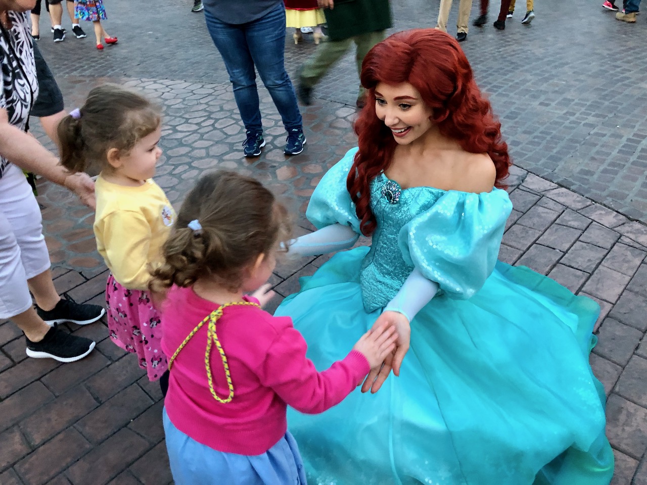 The Twins’ First Trip to Disneyland