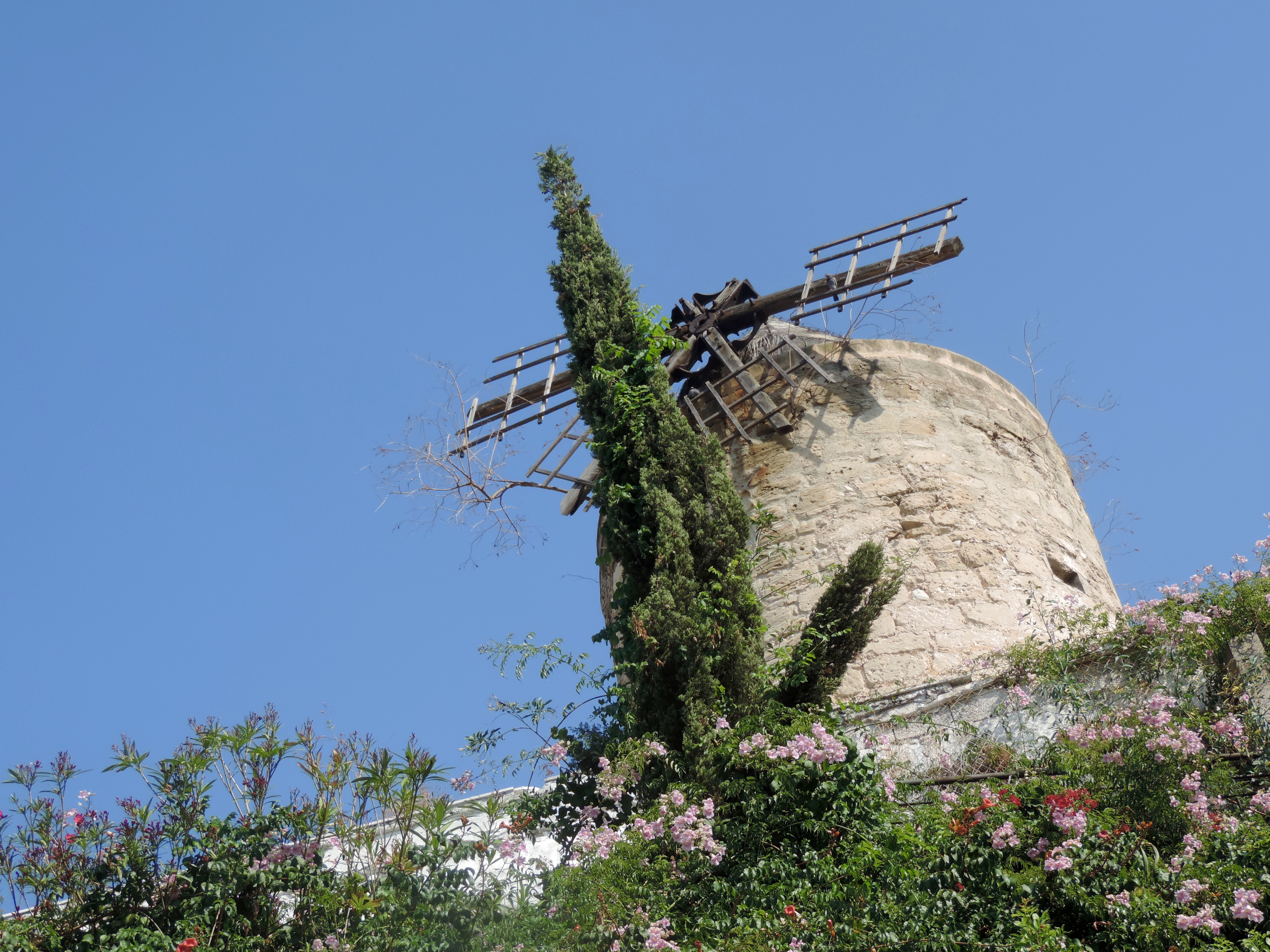 dscn2151