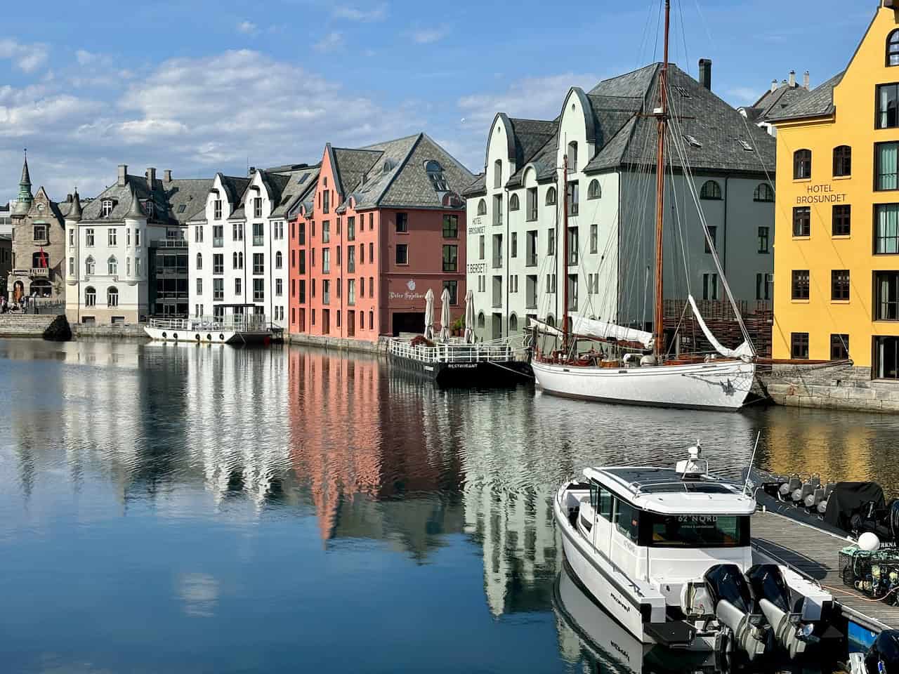 Stunning Views, Seagulls, and Sea Life