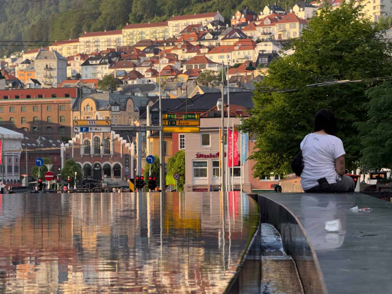 Waterfalls, Scenic Trains, and Bergen’s Beauty